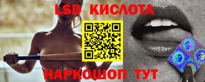 стафф Гатчина