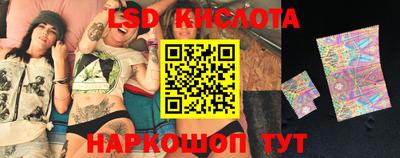 стафф Гатчина