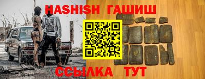 стафф Гатчина