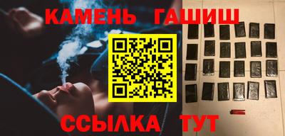 стафф Гатчина