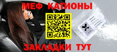 стафф Гатчина