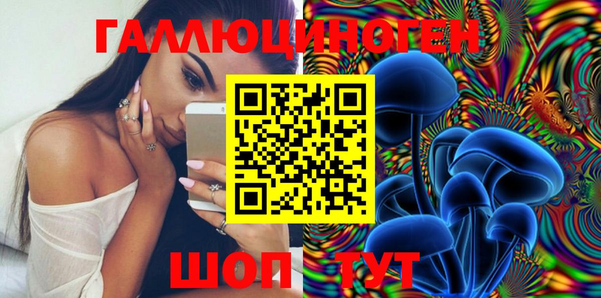Псилоцибиновые грибы MAGIC MUSHROOMS  Вход с VPN  Ижевск 